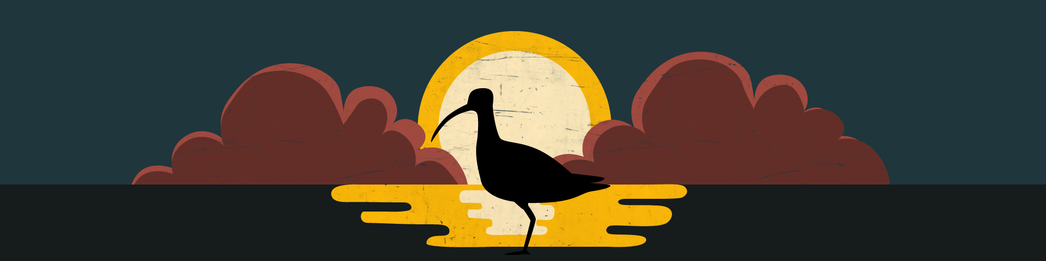 Banner image of a euroasian curlew